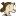 Oo